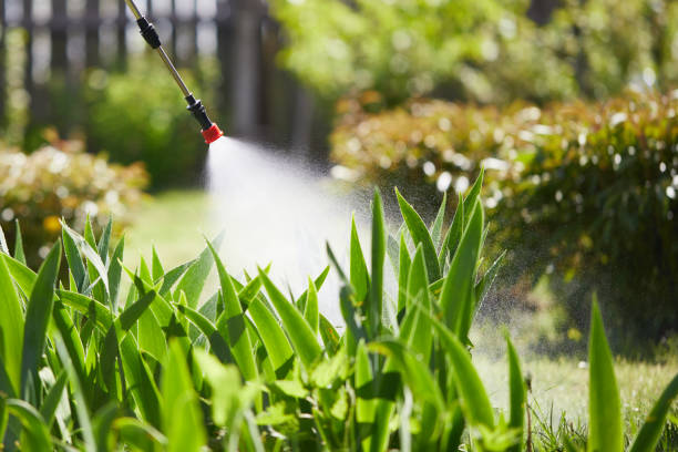 24/7 Emergency Mosquito Control experts in Daniels, WV